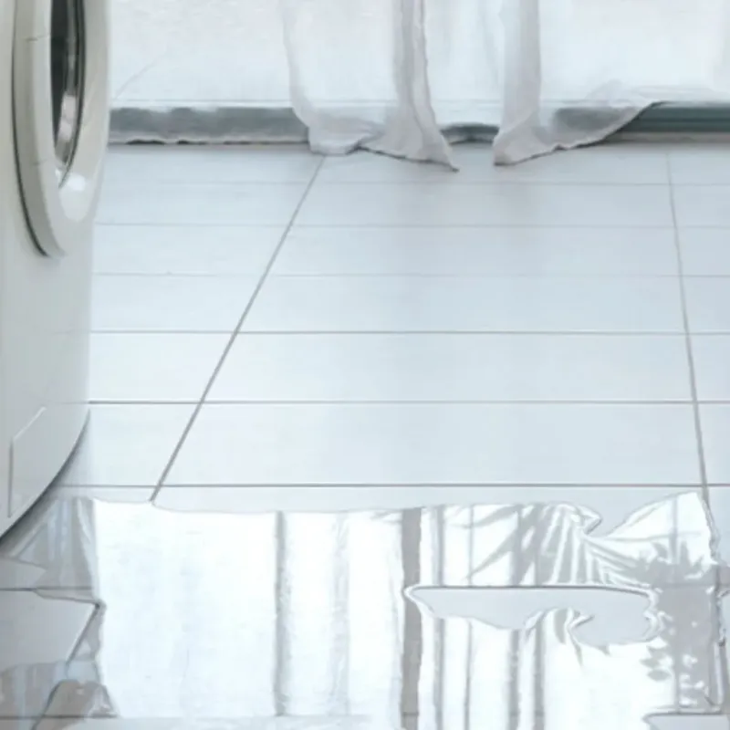 Appliance Leak Cleanup in Golden Meadow, LA