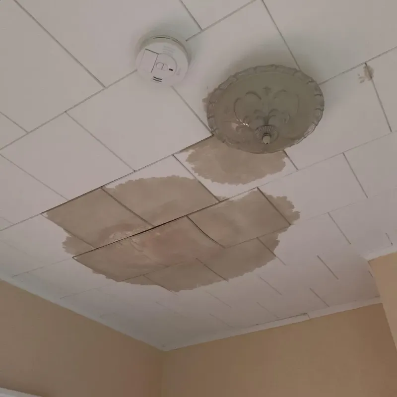 Ceiling Water Damage Repair in Golden Meadow, LA