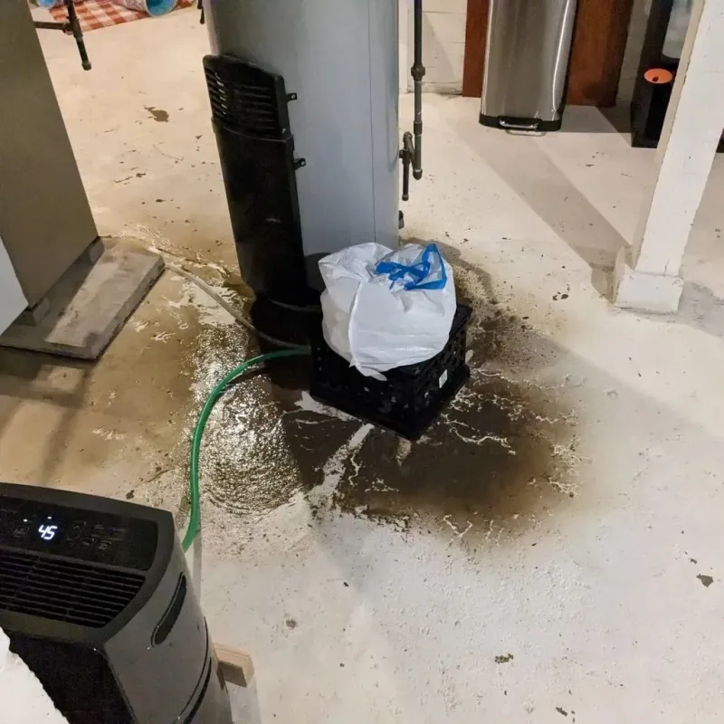 Sewage Backup Cleanup Service in Golden Meadow, LA